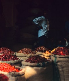 Baharat ve Cesni